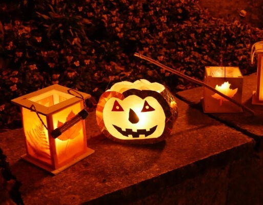 Verschiedene Lampions mit herbstlichen Motiven: zwei sind viereckig und mit Ahornblattmotiven geschmückt, in der Mitte ist ein Lampion in Kürbisform mit einem Gesicht