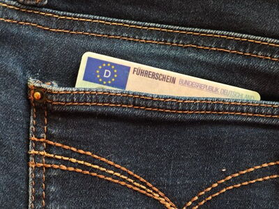 Gesäßtasche einer Jeans, aus der ein Führerschein der Bundesrepublik Deutschland herausragt