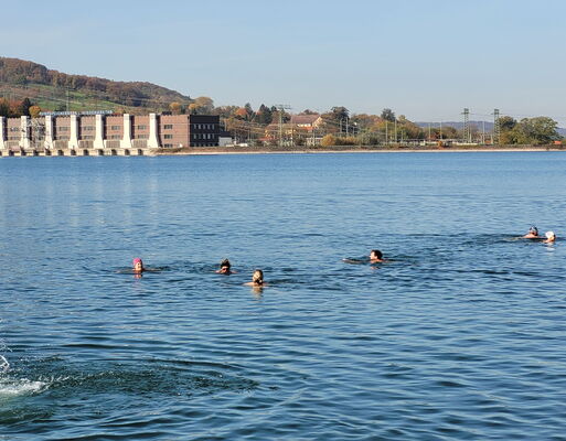 Herbstschwimmen im Stauseebad Cossebaude