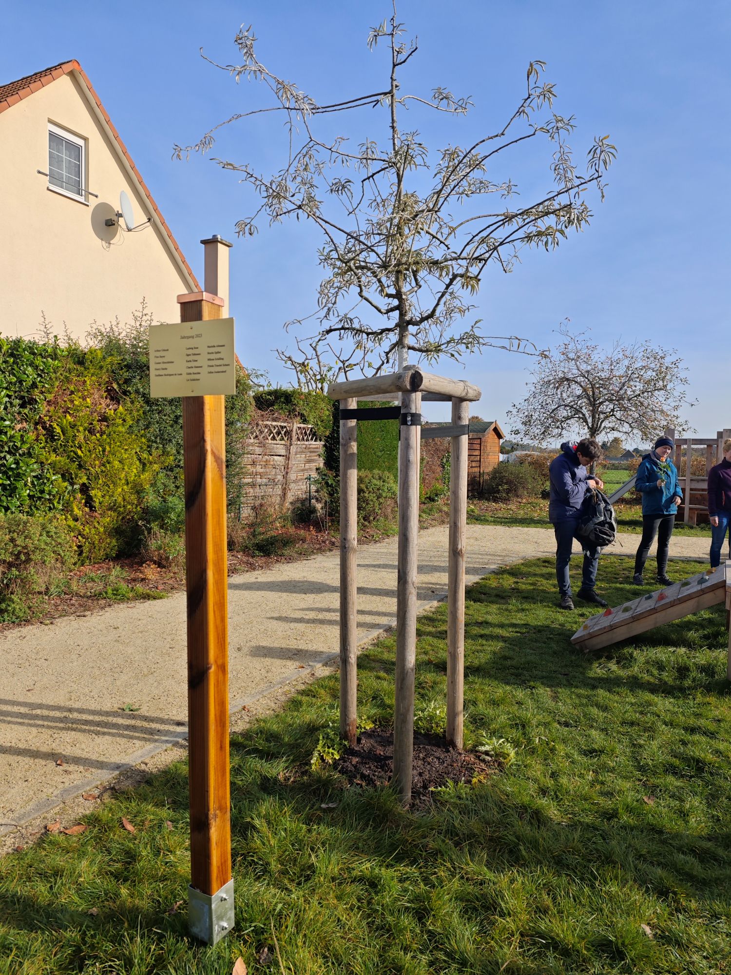 Jahrgangsbaum Geburtsjahr 2023